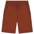 Short Dickies WILSALL CARPENTER - DK0A4Z7X-K471 CAPPUCCINO