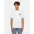 T-shirt Dickies COMPANION TEE - DK0A4Z3P0WH1-WHITE