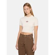 T-shirt Dickies MAPLE VALLEY DK0A4XPO-F901 WHITECAP GRAY
