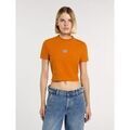 Tee-shirts sur Grenoble : T-shirt Dickies MAPLE VALLEY DK0A4XPO-K641 AUTUMN MAPLE