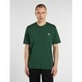 T-shirt Dickies MAPLETON TEE SS DK0A4XDB-PIN1 PINE NEEDLE