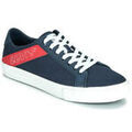 Baskets homme sur Grenoble : Baskets basses Levis WOODWARD L