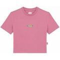 Tee-shirts sur Grenoble : T-shirt Dickies MAPLE VALLEY DK0A4XPO-J541 MAUVE
