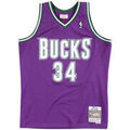 Tee-shirts sur Grenoble : T-shirt Mitchell And Ness Maillot NBA Ray Allen Millwauk