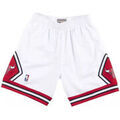 Short sur Grenoble : Short Mitchell And Ness Short NBA Chicago Bulls Mitche