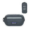 Sac banane Patagonia TERRAVIA MINI HIP PACK