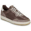 Baskets homme sur Grenoble : Baskets basses Clae HAYWOOD