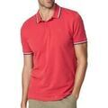 Polos sur Grenoble : Polo TBS Yvanepol