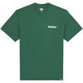 Tee-shirts sur Grenoble : T-shirt Dickies GORDONSVILLE TEE SS