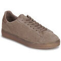 Baskets basses Clae BRADLEY