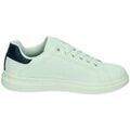 Baskets femme sur Grenoble : Baskets basses Levis -