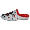 Chaussons / Pantoufles sur Grenoble : Chaussons Vulca-bicha -