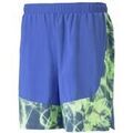 Short Puma Run Favorite