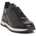 Baskets homme sur Grenoble : Baskets basses NeroGiardini NERO GIARDINI 100 GUANTO NERO