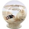 Statuettes et figurines Signes Grimalt Petite Boule Marine Multicolore Unique. . Maison & D&eacute;co > Statuettes et figurines.