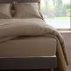 Draps housse Vent Du Sud Drap housse Loutre en percale de coton 160 cm