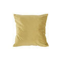 Linge de maison sur Grenoble : Coussins Present Time TENDER Vert 40x40 cm. . Maison & D&eacute;co > Coussins.