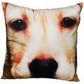 Linge de maison sur Grenoble : Coussins Out Of The Blue Coussin Carr&eacute; Chien D&eacute;houssable Beige 40x40 cm. . Maison & D&eacute;co > Coussins.