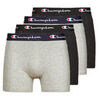 Boxers Champion BOXER X4 Multicolore