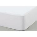 Linge de maison sur Grenoble : Draps housse Vent Du Sud Al&egrave;se Softy coton molleton 160 x 200 x 30 cm Blanc 160x200 cm. . Maison > Draps housse.