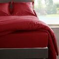 Linge de maison sur Grenoble : Housses de couettes Vent Du Sud Housse de couette Rubis en percale 260 x 240 cm
