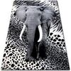 Tapis Rugsx Tapis BCF FLASH 33293/170 160x225 cm Gris 160x225 cm. . Maison & D&eacute;co > Tapis.