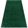 Tapis Rugsx Tapis SOFFI shaggy 5cm bouteille verte 160x220 cm Vert 160x220 cm. . Maison & D&eacute;co > Tapis.