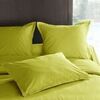 Taies d'oreillers, traversins Vent Du Sud Taie de traversin anis en percale de coton 80 fils 43 x 190 cm