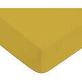 Draps housse Future Home Drap housse en coton 57 fils uni bonnet 25cm