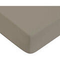 Linge de maison sur Grenoble : Draps housse Future Home Drap housse en coton 57 fils uni bonnet 25cm