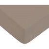 Draps housse Future Home Drap housse en coton 57 fils uni
