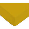 Draps housse Future Home Drap housse en coton 57 fils uni