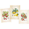 Torchons Stof Lot de 3 Torchons en Coton Serg&eacute; - fruits Multicolore 50x70 cm. . Maison & D&eacute;co> Torchons.