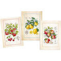 Linge de maison sur Grenoble : Torchons Stof Lot de 3 Torchons en Coton Serg&eacute; - fruits Multicolore 50x70 cm. . Maison & D&eacute;co> Torchons.