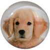 Tableaux, toiles Out Of The Blue Petit magnet en verre rond Chien 3.5 cm