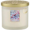 Bougies, diffuseurs Heart And Home Bougie 2 m&egrave;ches ellipse baies d'hiver - Blanc Unique. . Maison & D&eacute;co > Bougies, diffuseurs.