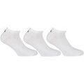 Chaussettes sur Grenoble : Chaussettes Fila unisexe Chaussettes Paquet de 3