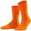 Chaussettes sur Grenoble : Chaussettes Falke unisexe Chaussettes Paquet de 1