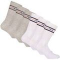 Chaussettes sur Grenoble : Chaussettes Fila unisexe Chaussettes Paquet de 6