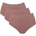 Slips Sloggi Femme Slip Paquet de 3 GO Daily Cotton Highwaist 3P Marron