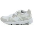 Baskets homme sur Grenoble : Baskets Puma Blaze Surf The Web