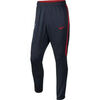 Jogging Nike PSG Dry Strike