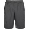 Shorts/Bermuda sur Grenoble : Short Under Armour Homme HEATGEAR RAID 2.0 NOVELTY