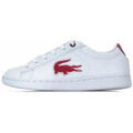 Baskets basses enfant Lacoste Carnaby Evo 318 1 SPC Cadet Grenoble