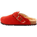 Chaussons / Pantoufles sur Grenoble : Chaussons Scholl FAE SUEDE BIS