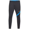 Jogging Nike ACADEMY PRO