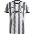 Tee-shirts sur Grenoble : T-shirt adidas JUVENTUS DOMICILE 2022/2023