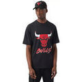 T-shirt New-Era Chicago Bulls NBA Script Grenoble