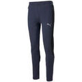 Jogging Puma FD Evostripe