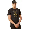 Tee-shirts sur Grenoble : T-shirt New-Era Metallic CHIBUL